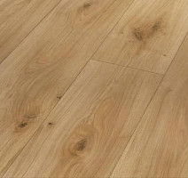 Ламинат Parador Basic Plus 400 1593813 Дуб Горизонт фото 1 | FLOORDEALER